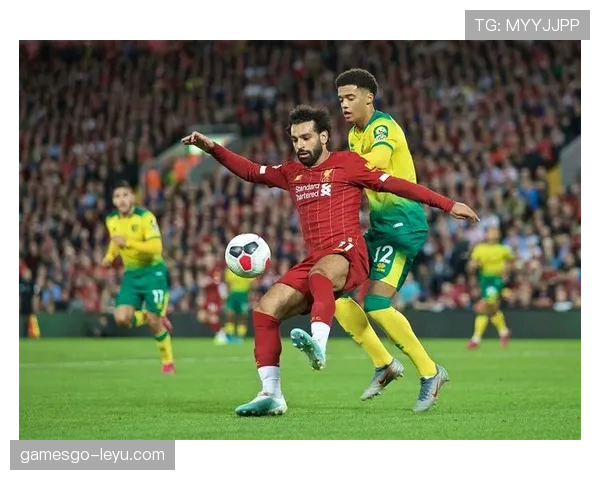 诺维奇城重返英超:一段值得铭记的升级征程 诺维奇城重返英超:一段值得铭记的升级征程