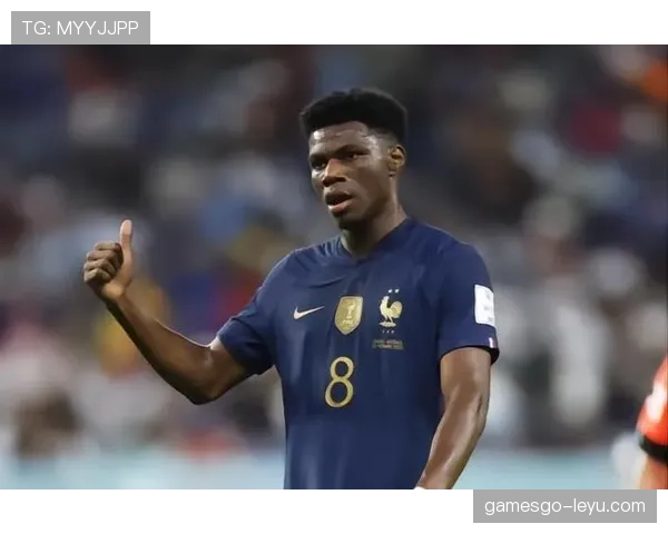 楚阿梅尼世界杯表现 楚阿梅尼世界杯表现