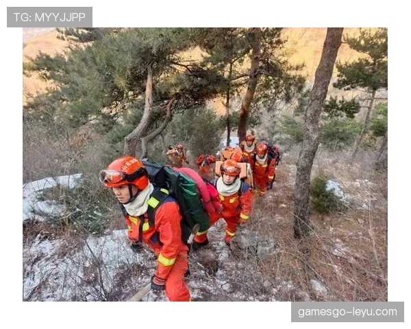 山东泰山控球依旧，压制力下降的问题对赛季表现造成阶段性影响